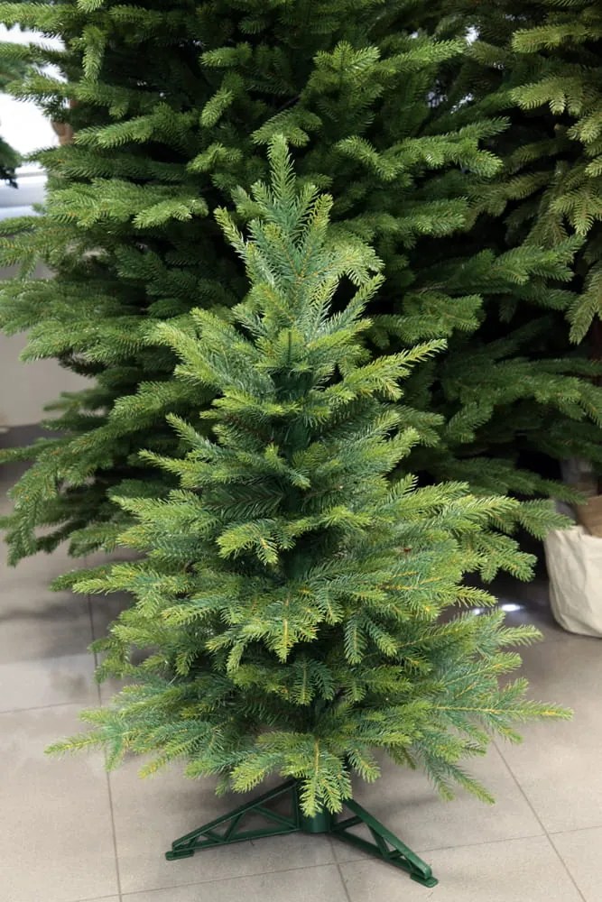 Smrek Kaukazský 100% 3D- 100cm