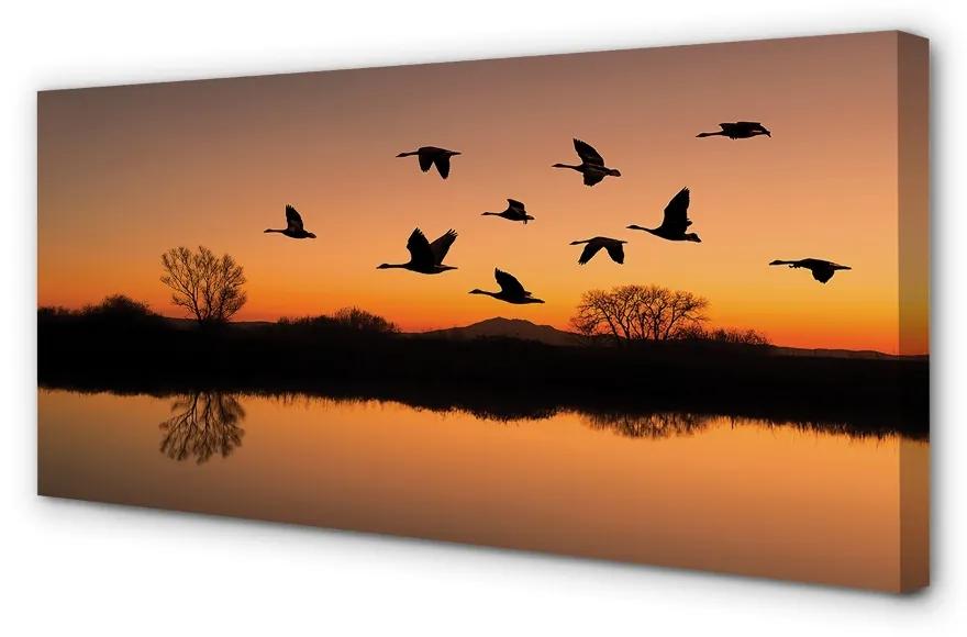 Obraz na plátne Lietajúce vtáky sunset 140x70 cm