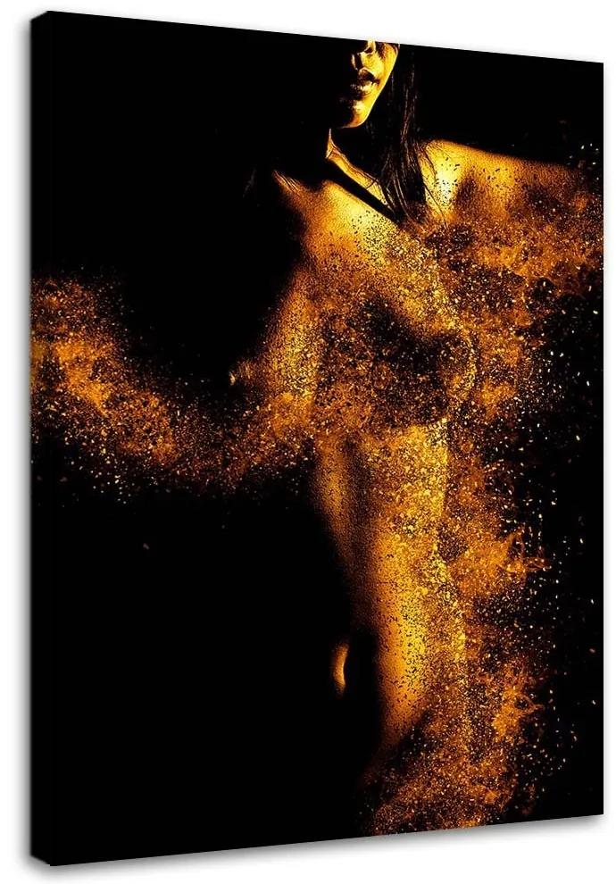 Obraz na plátně Nahá žena Zlatá barva - 40x60 cm