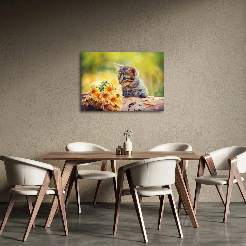 Obraz mačiatka pozerajúce sa na kvetinu (70x50 cm)