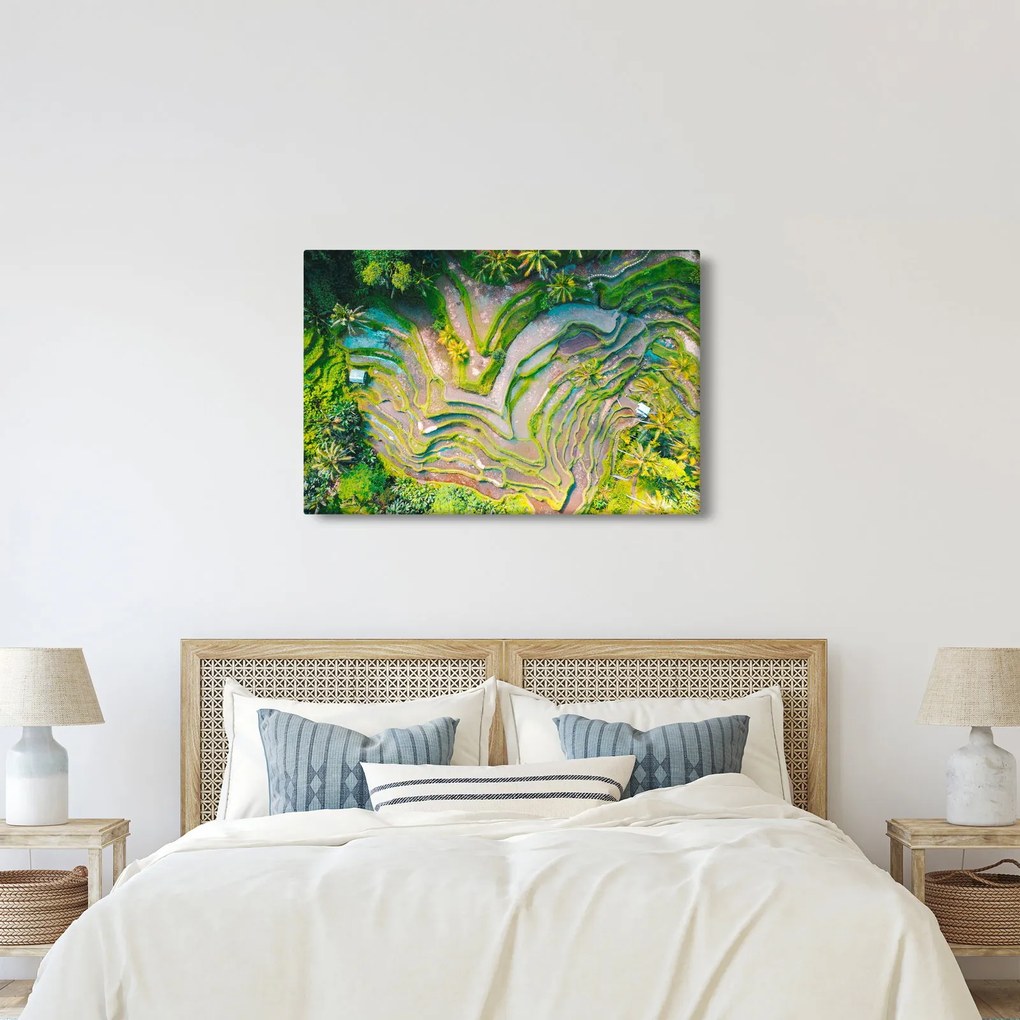 Obraz ryžových polí z vtáčej perspektívy (90x60 cm)