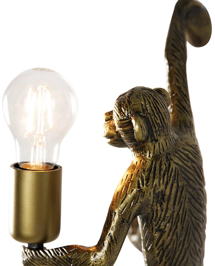 Zlatá nástenná lampa opica - Animal Monkey