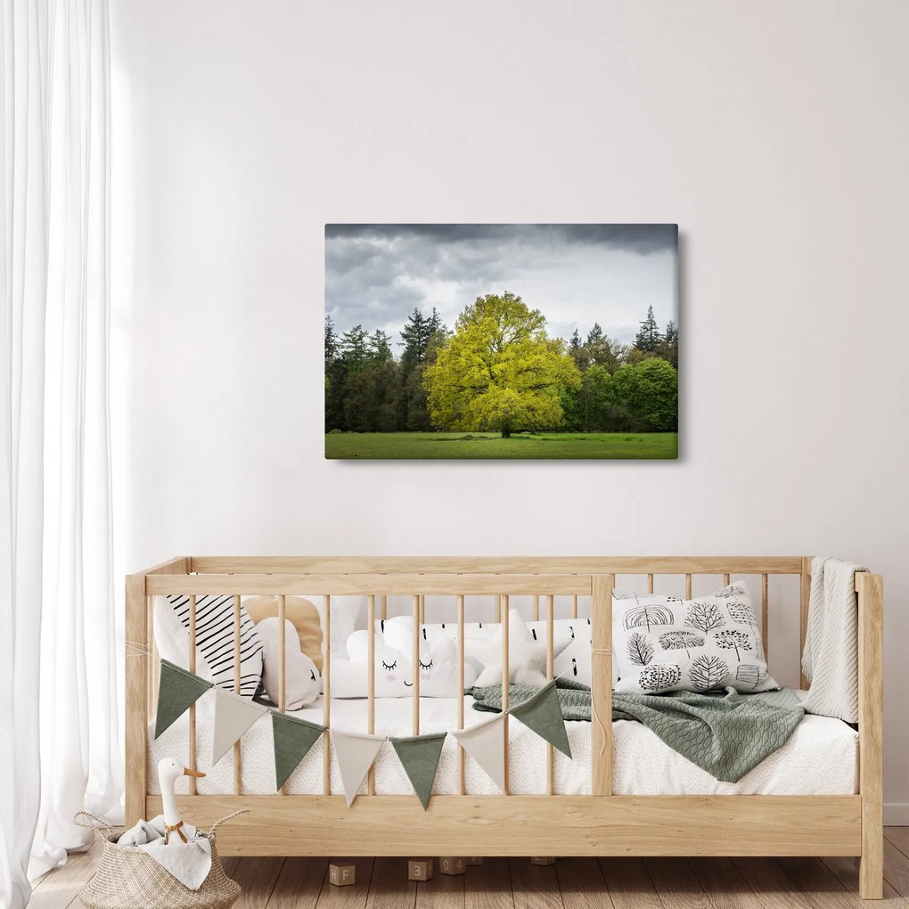 Obraz zeleného stromu uprostred poľa (90x60 cm)