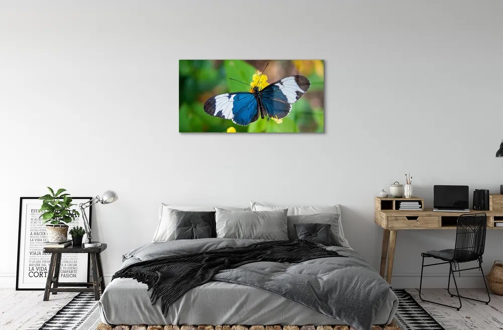 Obraz na akrylátovom skle Farebný motýľ na kvety 100x50 cm