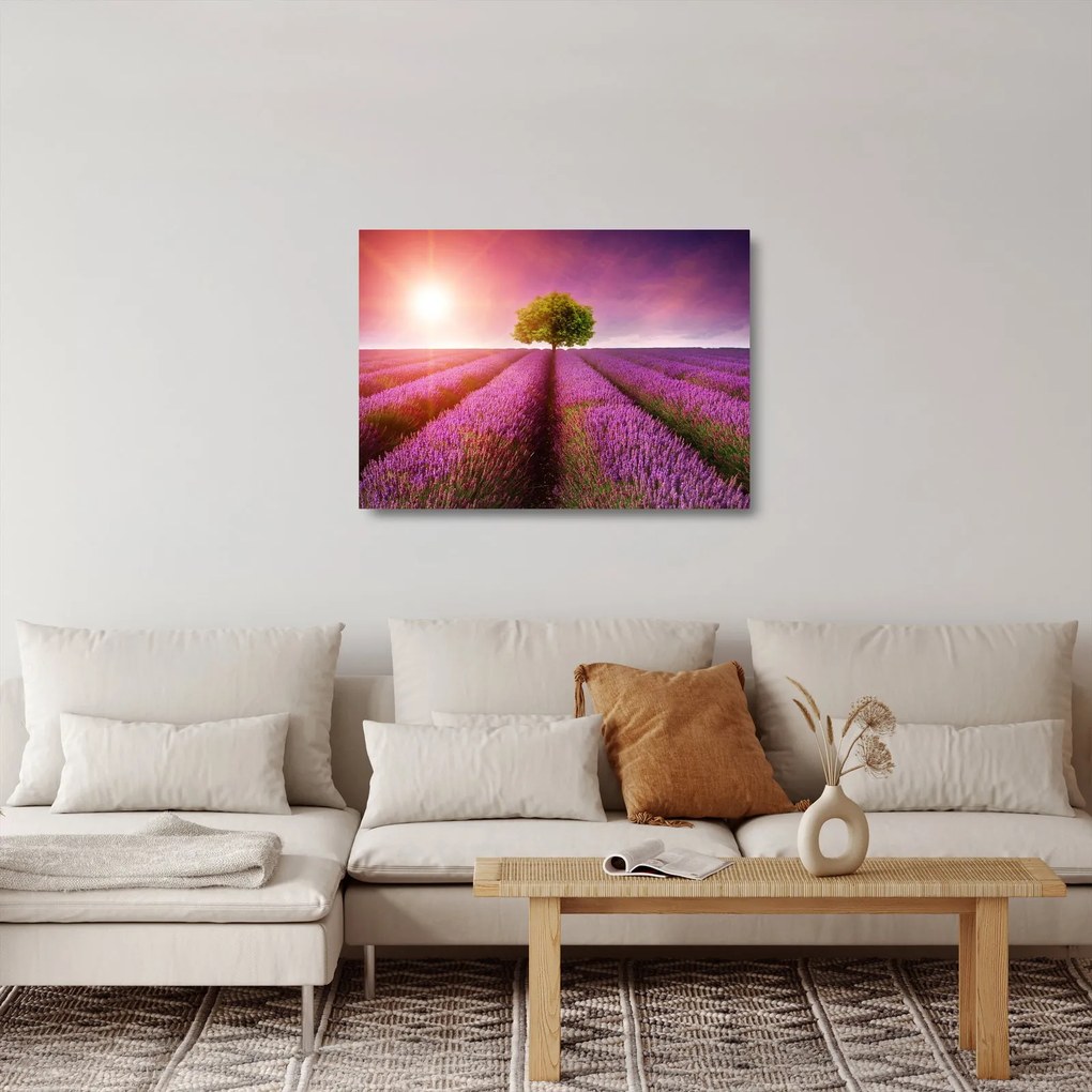 Sklenený obraz poľa s levanduľami (70x50 cm)