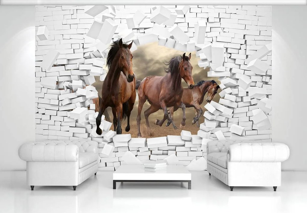 Fototapeta - 3D kone v stene (254x184 cm)