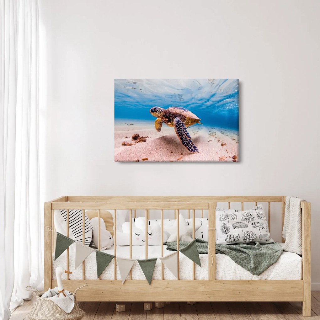 Obraz korytnačky v oceáne (90x60 cm)