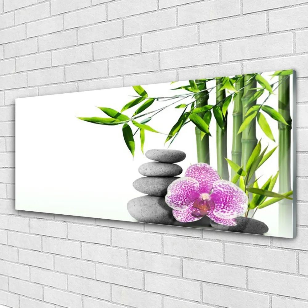Obraz plexi Bambus kamene zen umenie 125x50 cm
