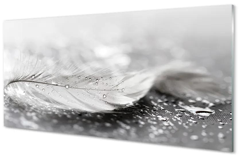 Obraz na skle Kvapky perie makro 100x50 cm