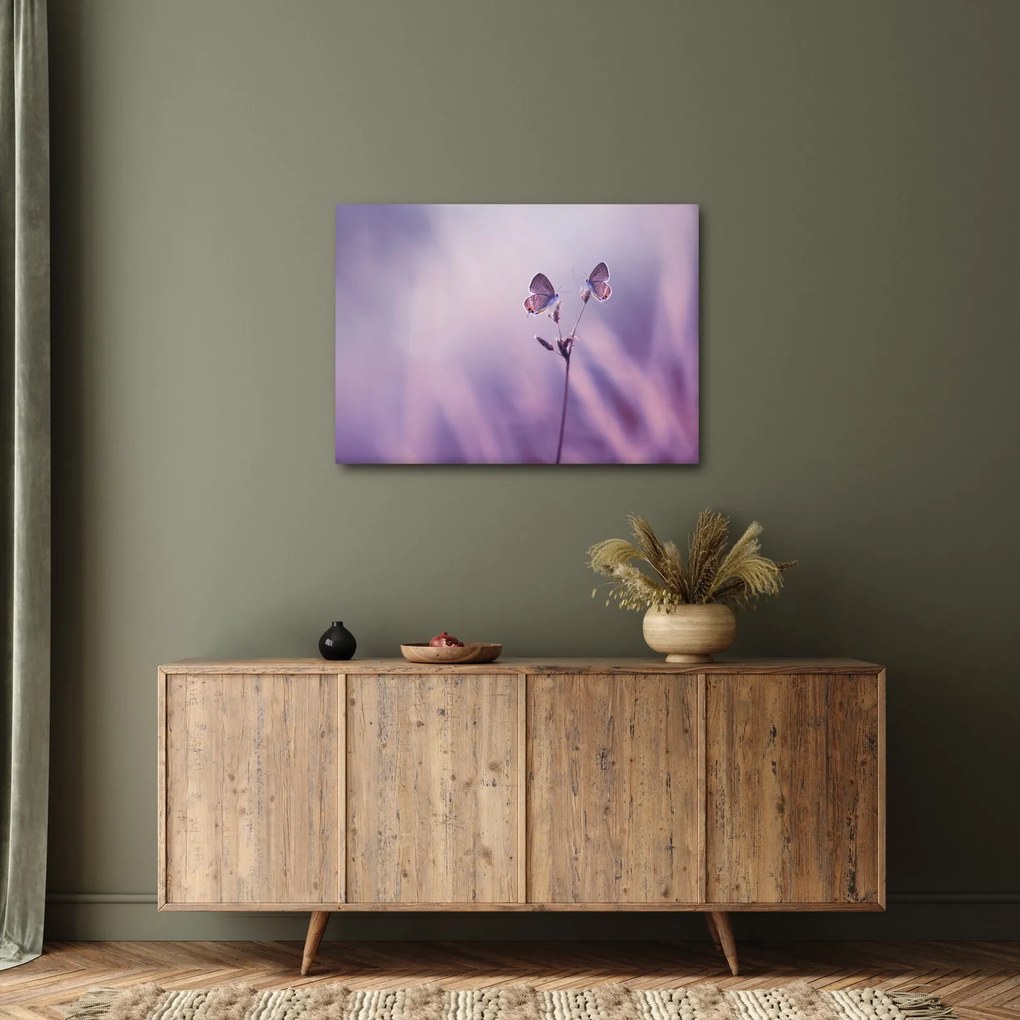 Obraz - Fialové motýliky (70x50 cm)