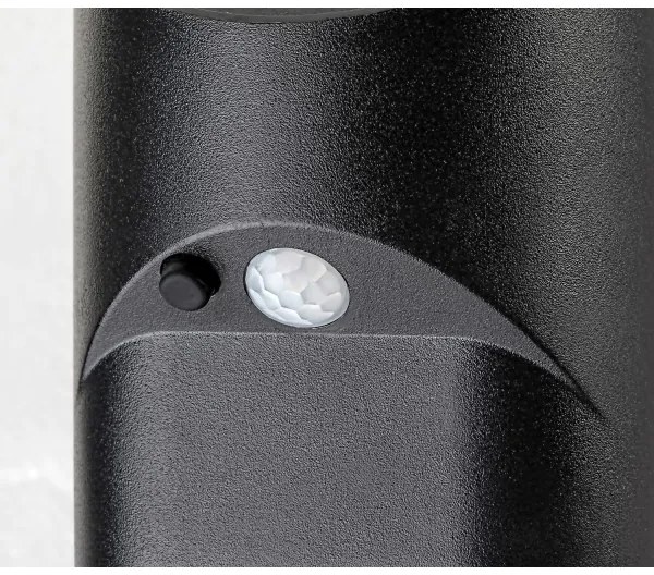 Rabalux 77013 - LED Solárne svietidlo so senzorom SEPIK LED/3,6W/3,7V IP44