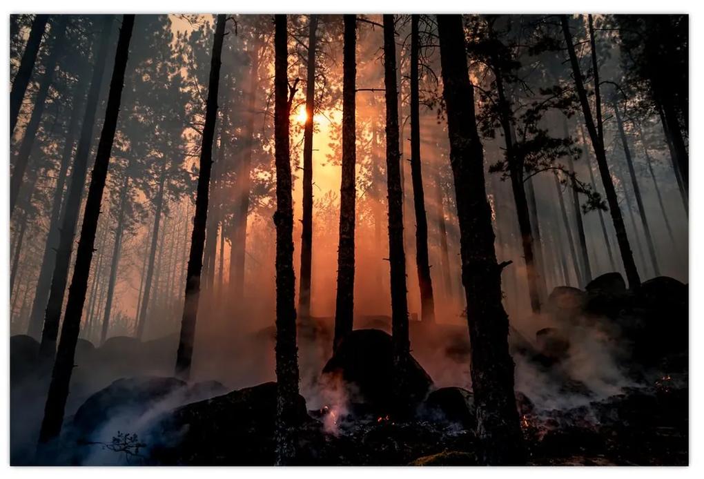 Obraz temného lesa (90x60 cm)
