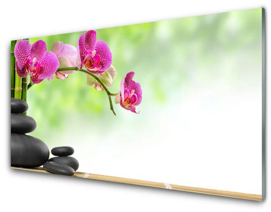 Obraz plexi Bambusové výhonky kamene zen kúpele 100x50 cm