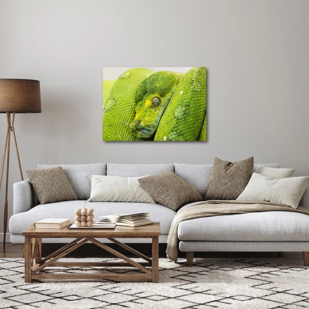 Obraz hada (70x50 cm)