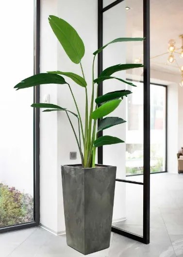 Kvetináč Porto 68x35 cm sivý betón