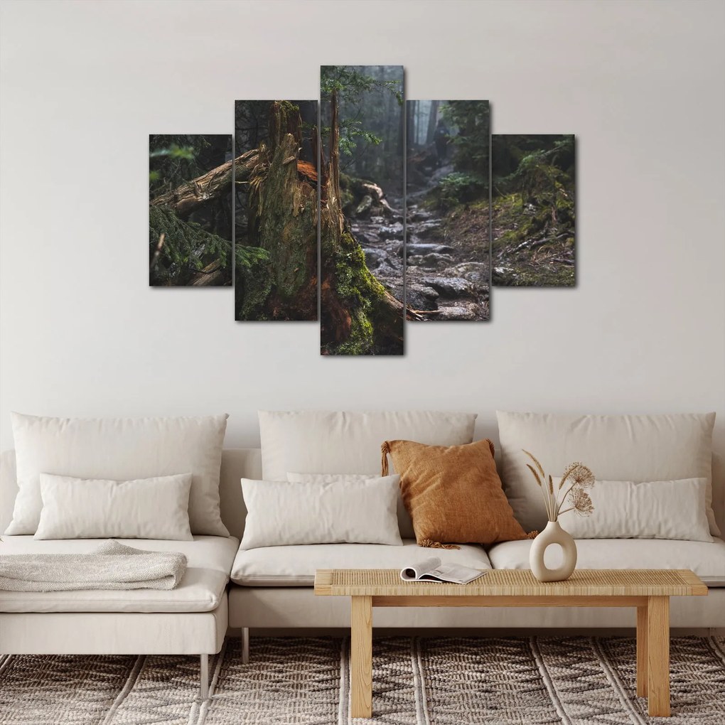 Obraz - V lese (150x105 cm)