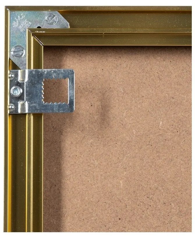 Nástenné zrkadlo 60x80 cm Alu – Ixia