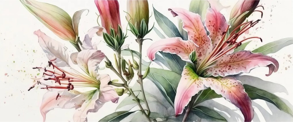 Obraz - Ľalia, ilustrácie (120x50 cm)