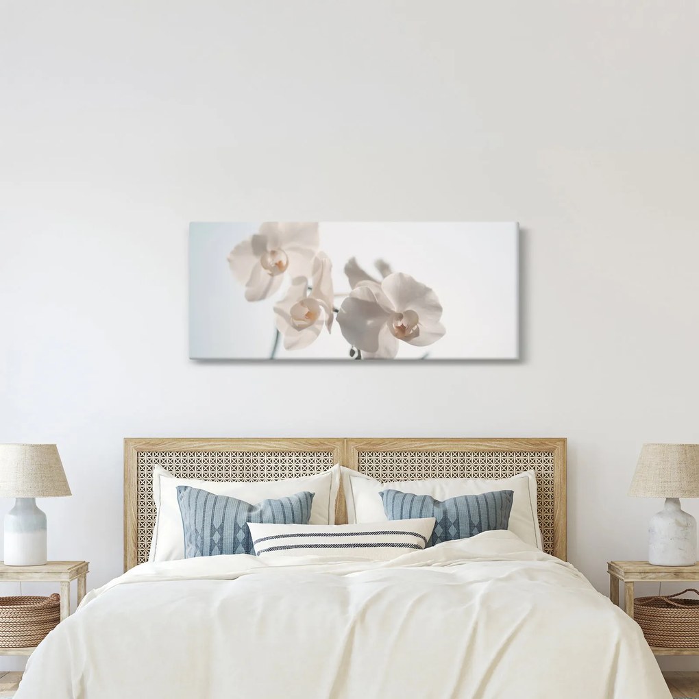 Obraz bielej orchidey (120x50 cm)