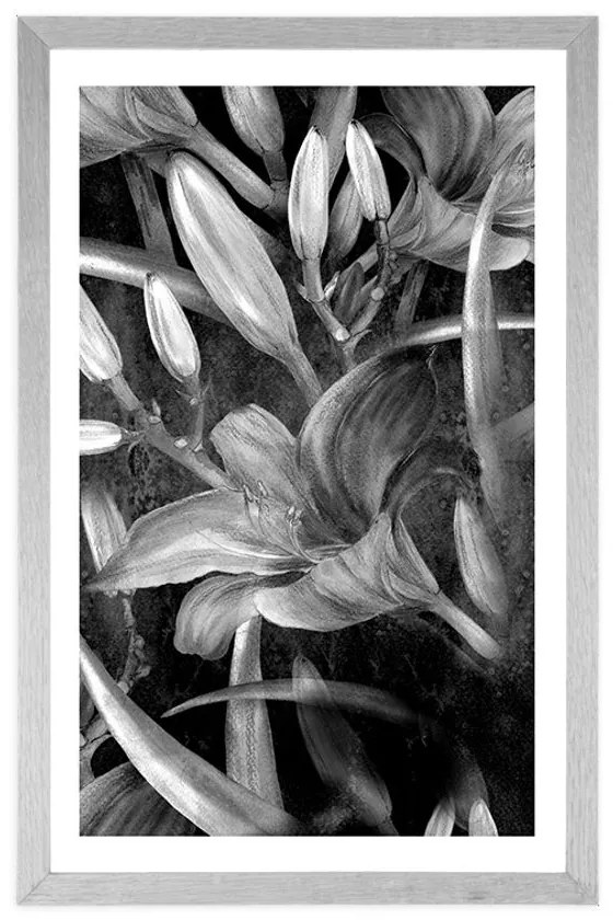 Plagát s paspartou rozkvet ľalie v čiernobielom prevedení - 60x90 white