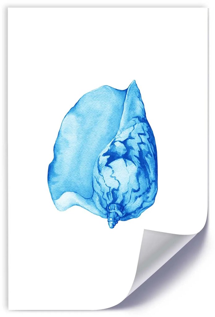 Gario Plagát Akvarel shell Farba rámu: Bez rámu, Rozmery: 40 x 60 cm