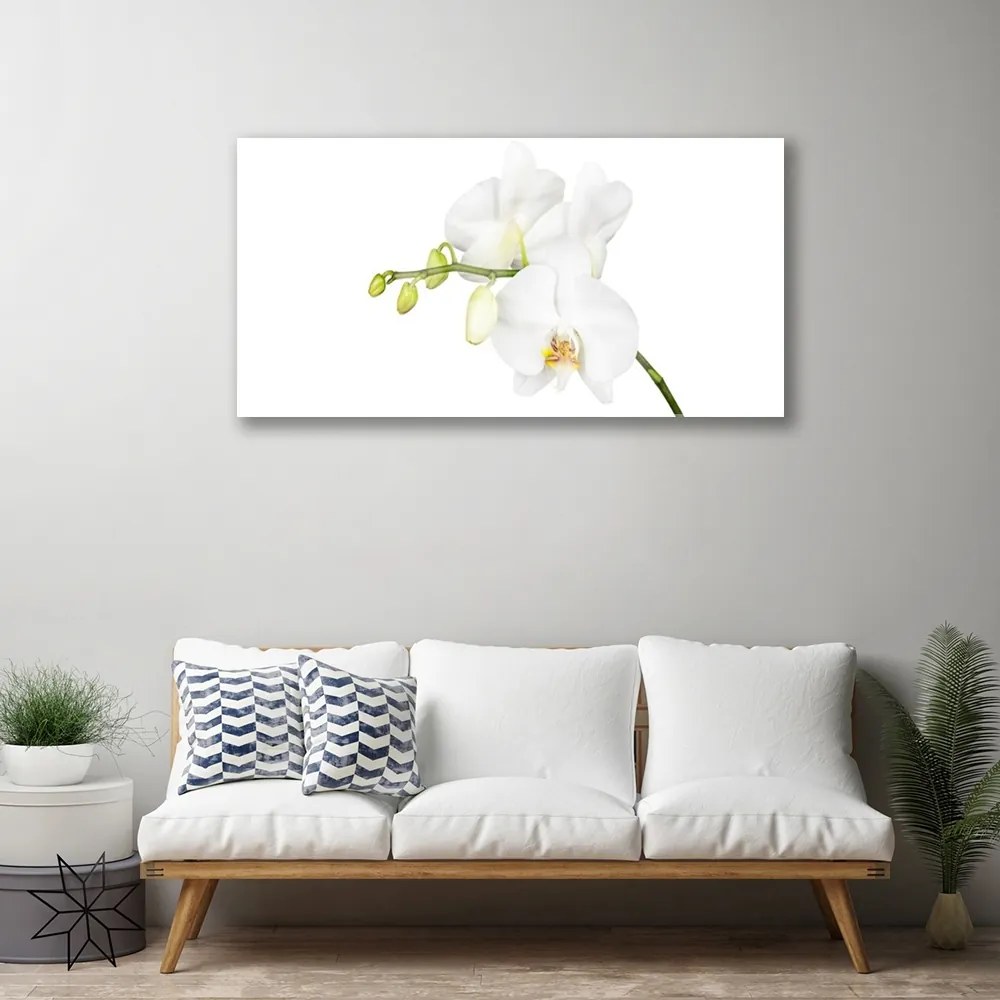 Skleneny obraz Orchidea kvety príroda 120x60 cm