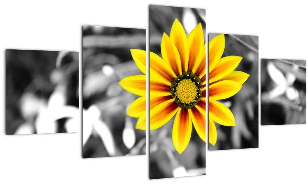 Obraz žltej kvetiny (125x70 cm), 40 ďalších rozmerov