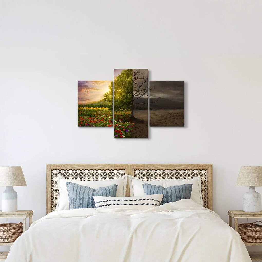 Obraz - Kolobeh života (90x60 cm)