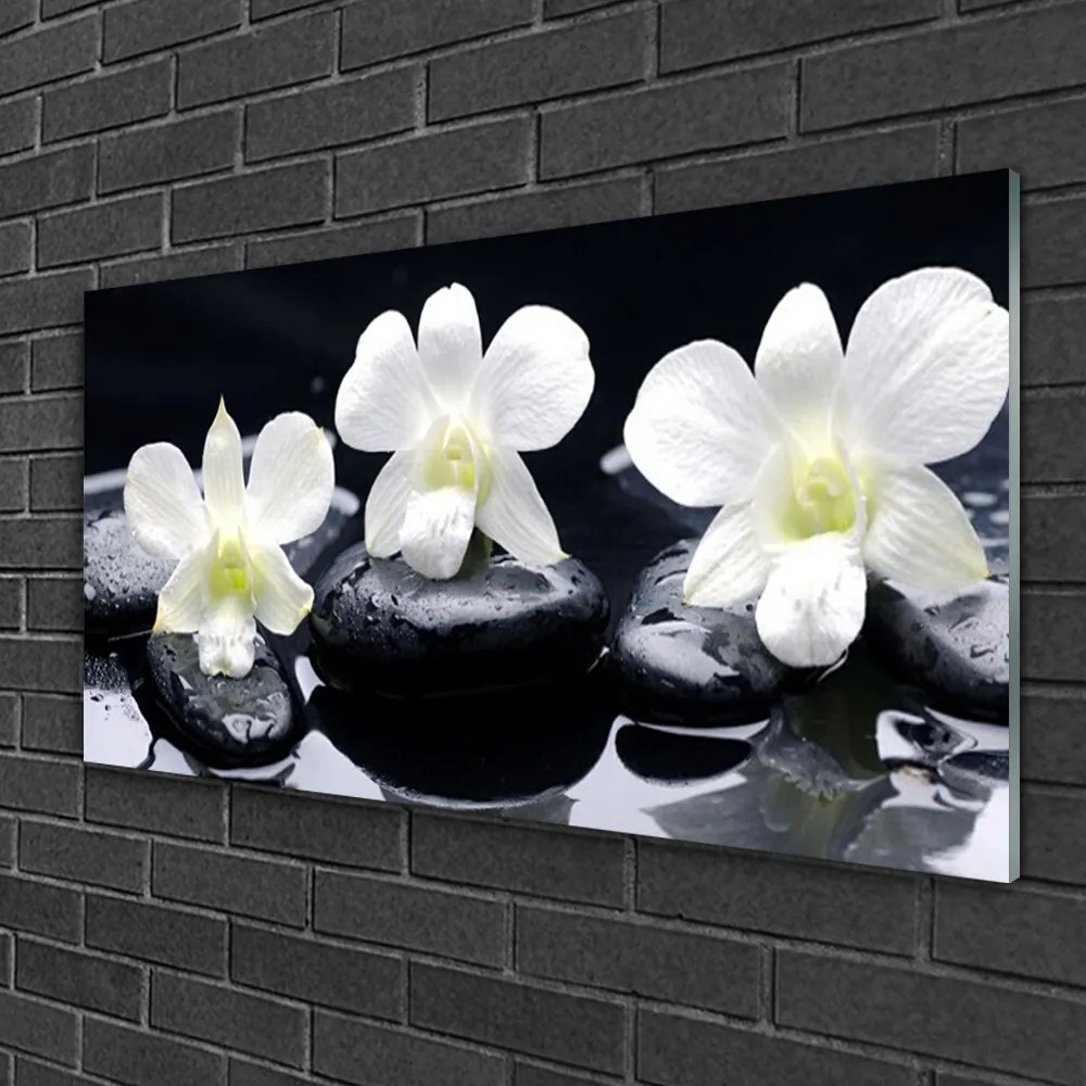 Obraz na skle Kvet kamene rastlina 120x60 cm