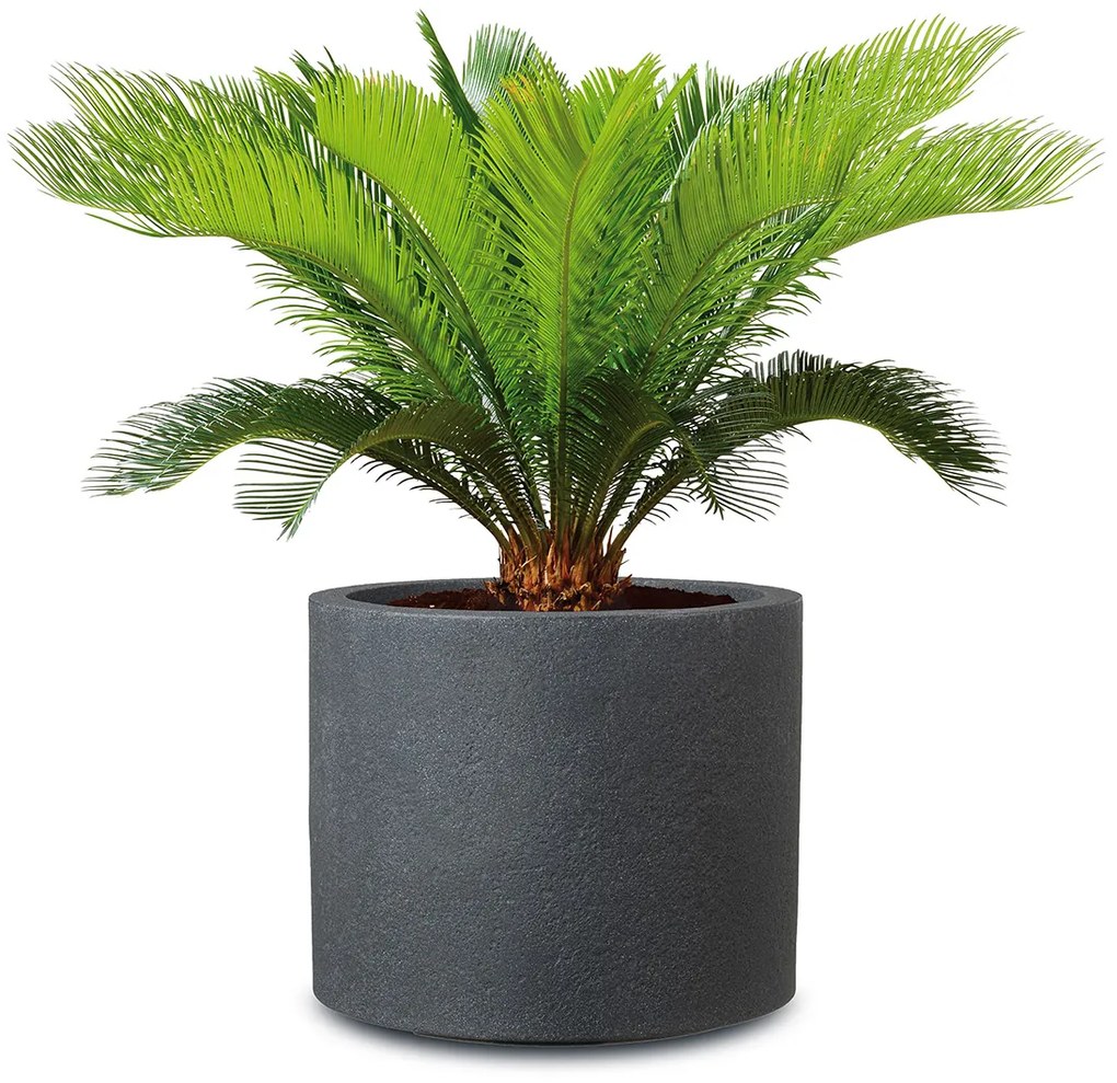 Scheurich Kvetináč Riva (žula/čierna, Ø 50 cm)  (100349892)