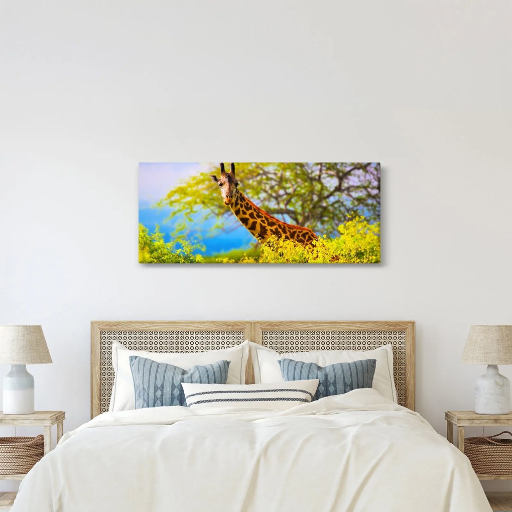 Obraz žirafy v Afrike (120x50 cm)