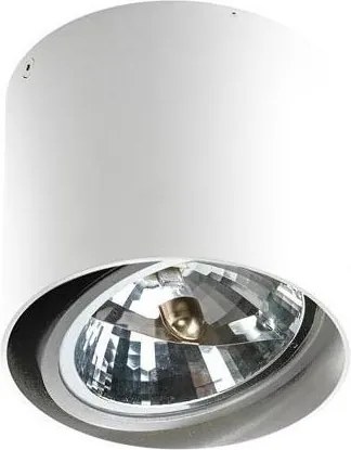Azzardo AZ1356 - Stropné svietidlo ALIX 1xG53/50W/230V/12V