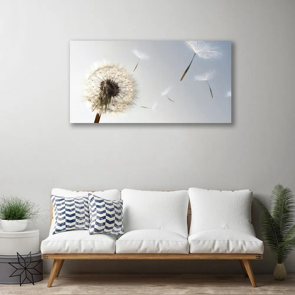 Obraz Canvas Púpava kvety príroda 140x70 cm
