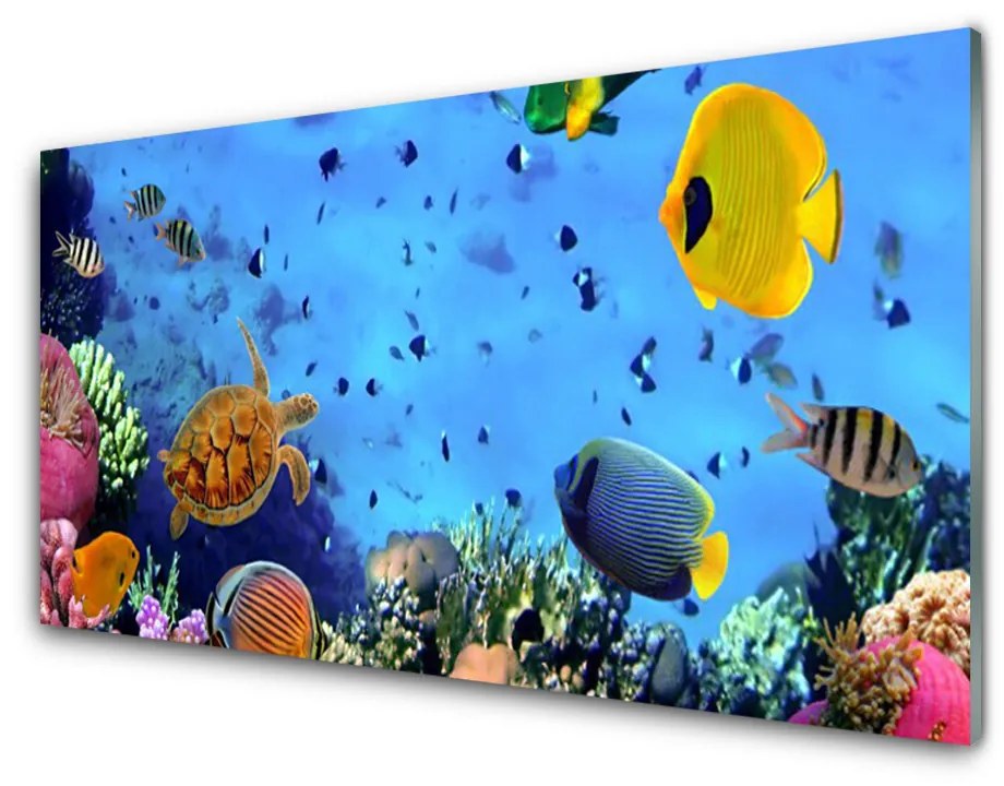 Nástenný panel  Koralový útes ryba príroda 125x50 cm