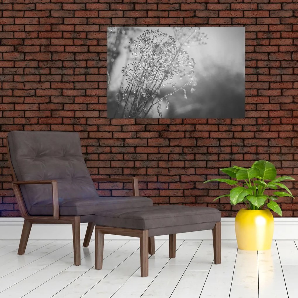 Obraz - Lúka po daždi (90x60 cm)