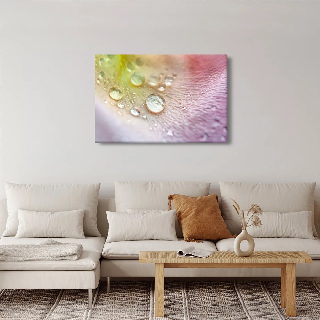 Obraz - Kvapôčky (90x60 cm)