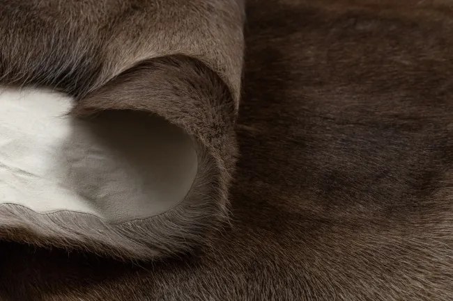 Koberec RENIFER POK010 hnedý