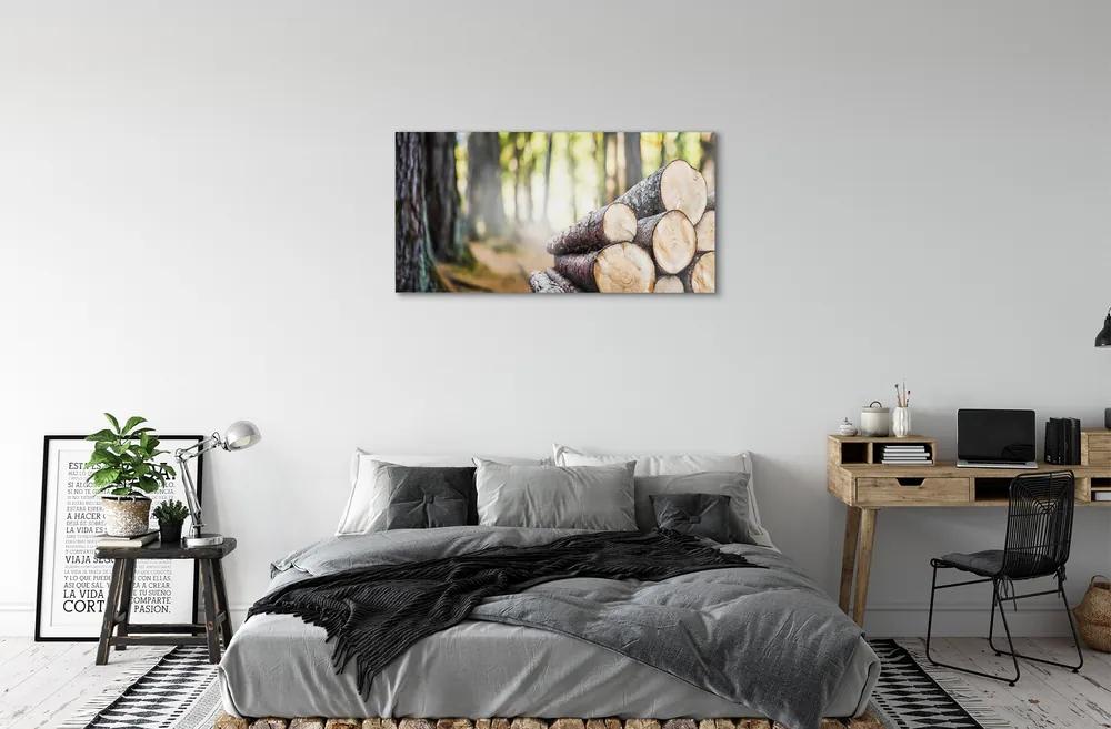 Obraz plexi Drevo prales prírode 100x50 cm