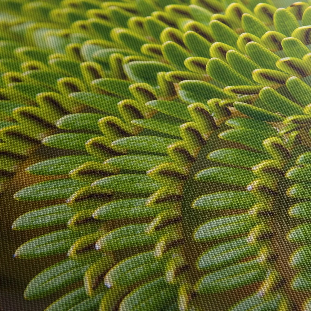 Obraz - Papraď (s hodinami) (90x30 cm)