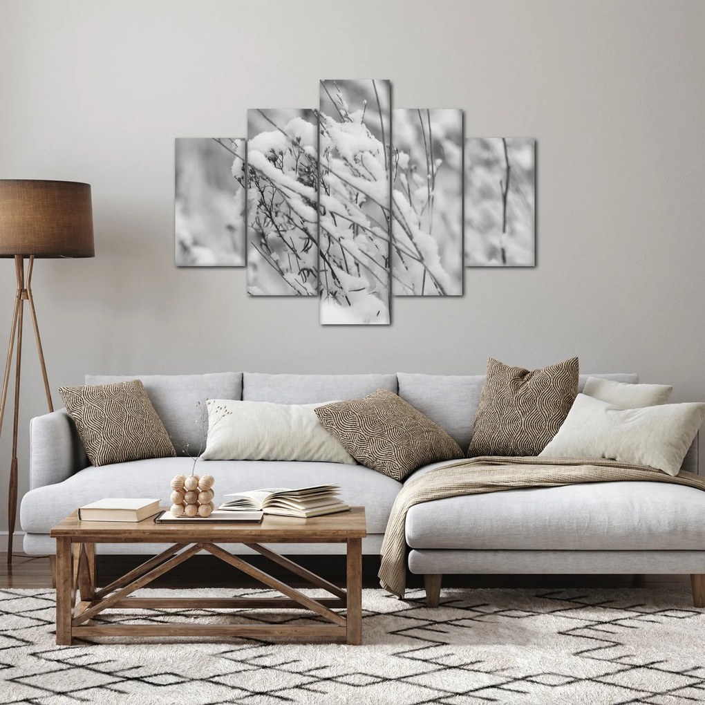 Obraz - Zasnežené vetvy (150x105 cm)