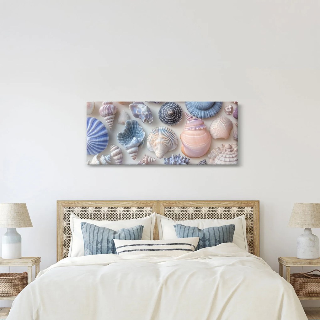 Obraz - Zbierka mušlí (120x50 cm)