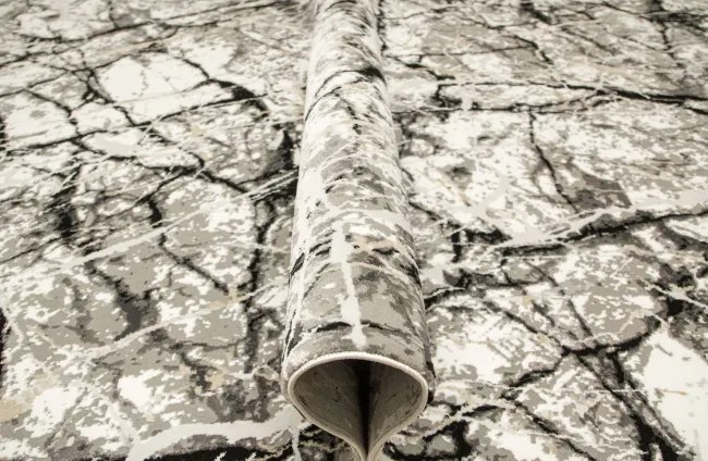 Koberec Tender 25226A čierny / svetlosivý