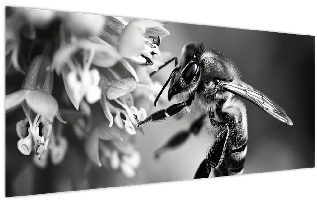Obraz - Detail včely (120x50 cm)
