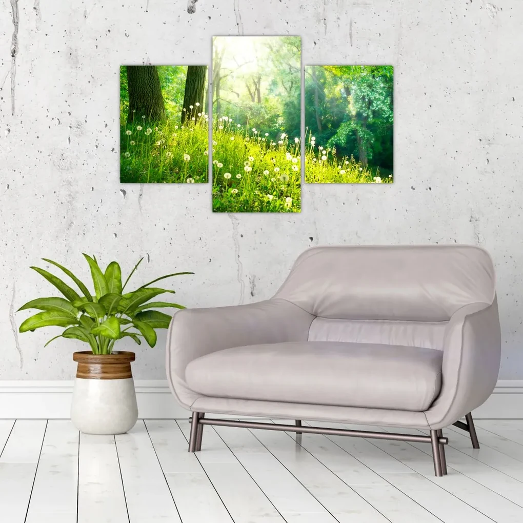 Obraz - Magická lúka plná púpav (90x60 cm)