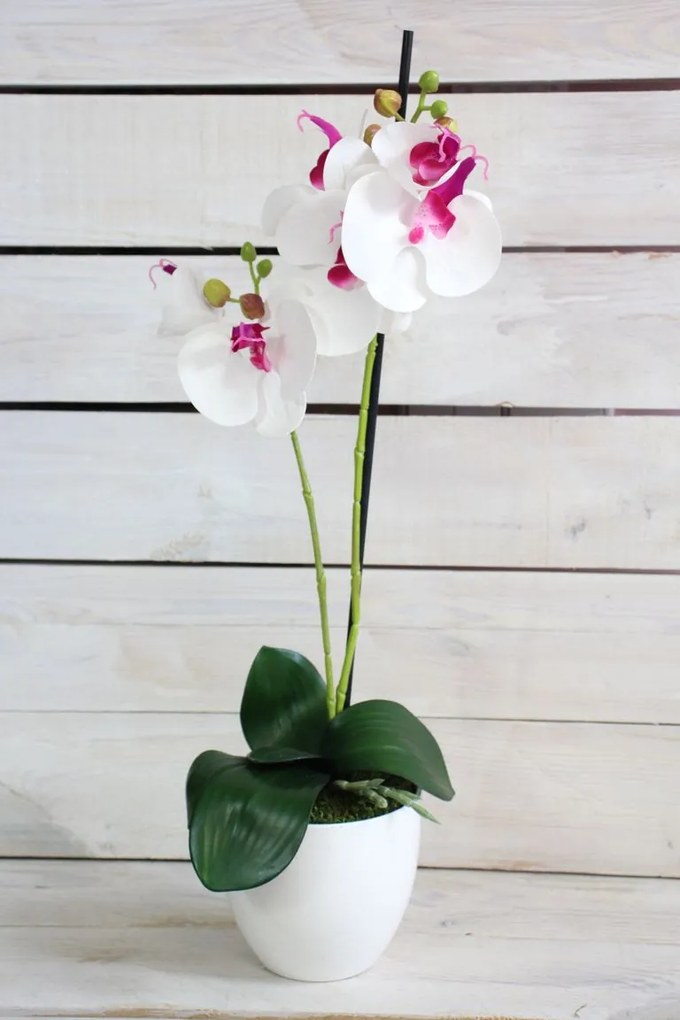 Umelá orchidea v črepníku - bielo-fialová (v. 51,5 cm) - moderný štýl