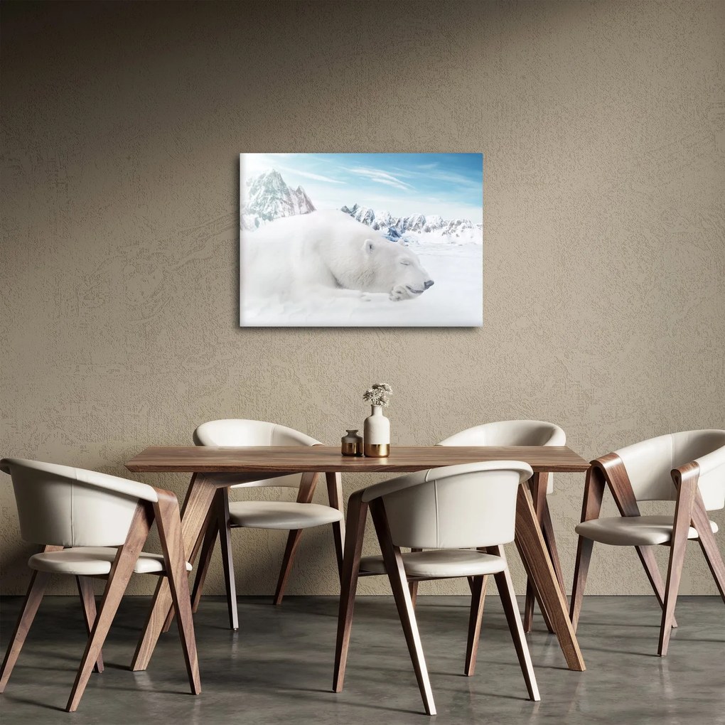 Obraz - Ľadový medveď (70x50 cm)