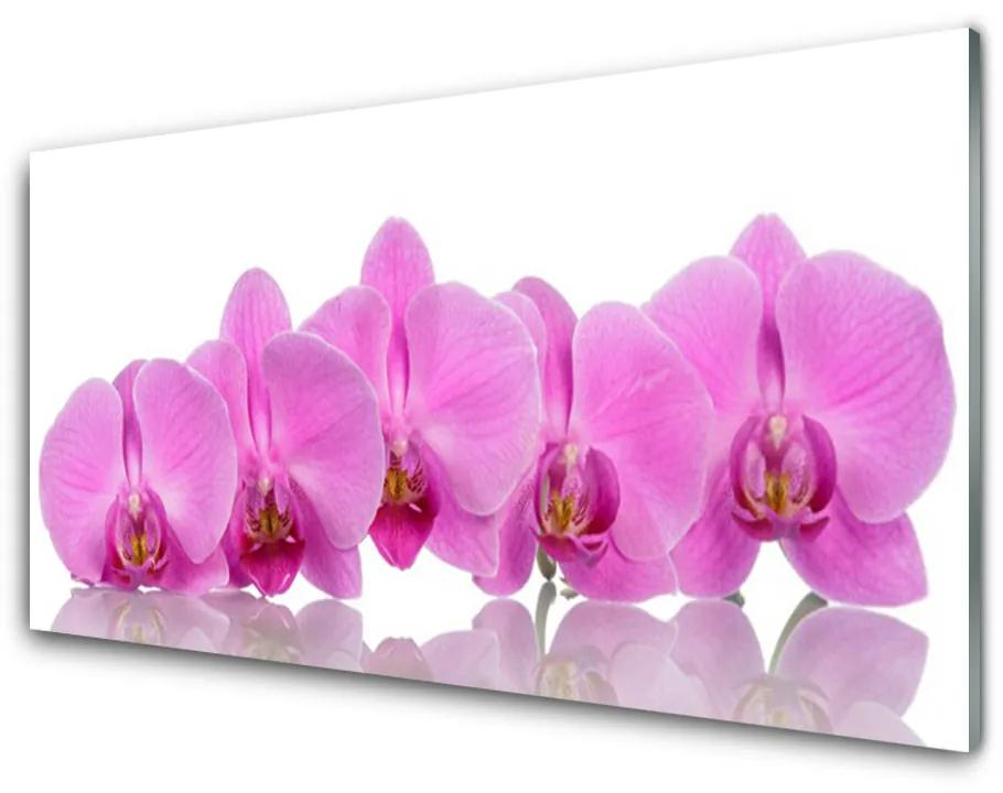 Skleneny obraz Ružová orchidea kvety 140x70 cm
