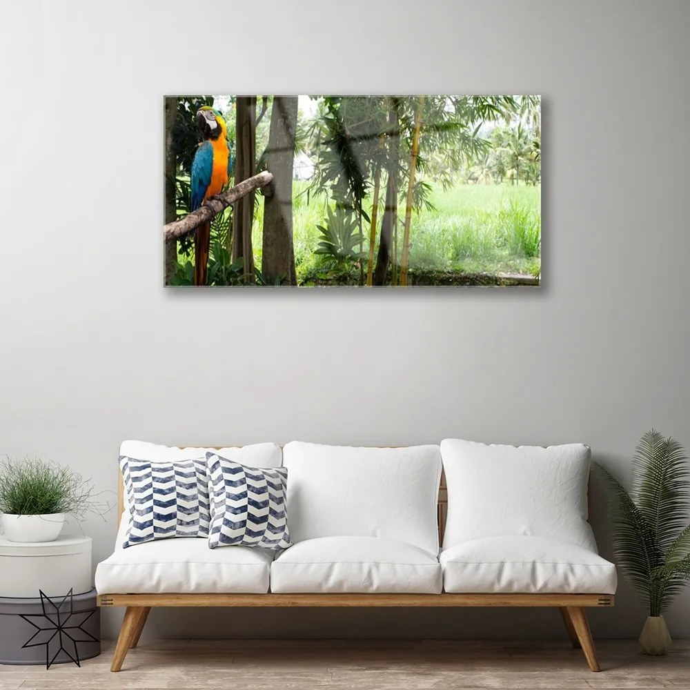 Skleneny obraz Papagáj stromy príroda 120x60 cm
