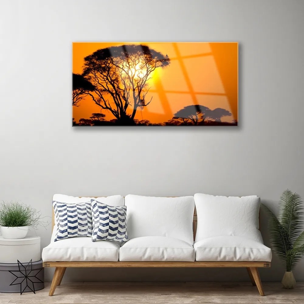 Obraz na akrylátovom skle Strom slnko príroda 100x50 cm