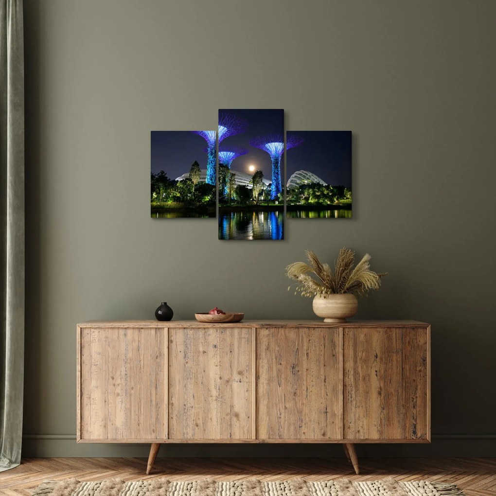 Obraz splnu v Singapurských záhradách (90x60 cm)